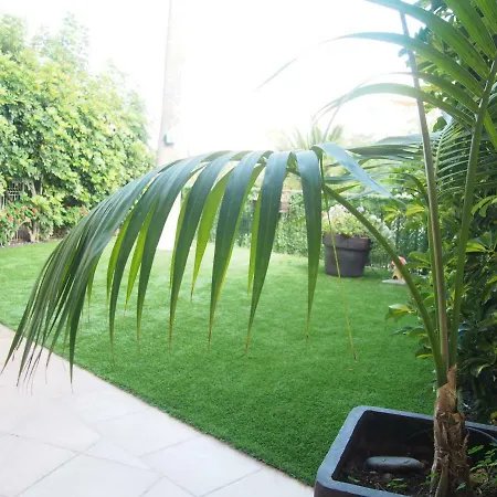 Maravilloso Y Tranquilo En El