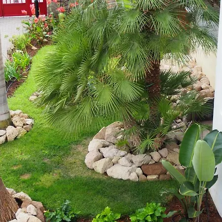 Maravilloso Y Tranquilo En El Apartamento Palm-mar