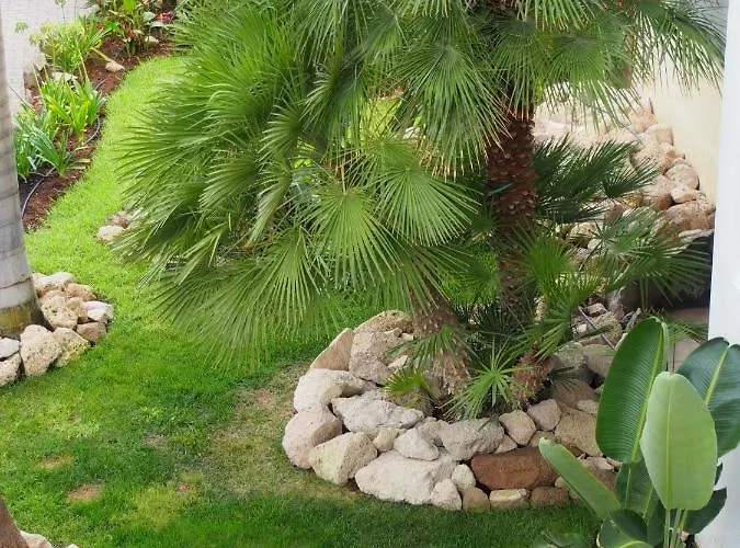 Maravilloso Y Tranquilo En El Apartment Palm-mar