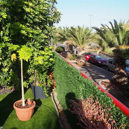 Maravilloso Y Tranquilo En El * Palm-mar