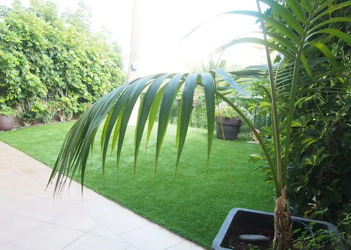 Maravilloso Y Tranquilo En El