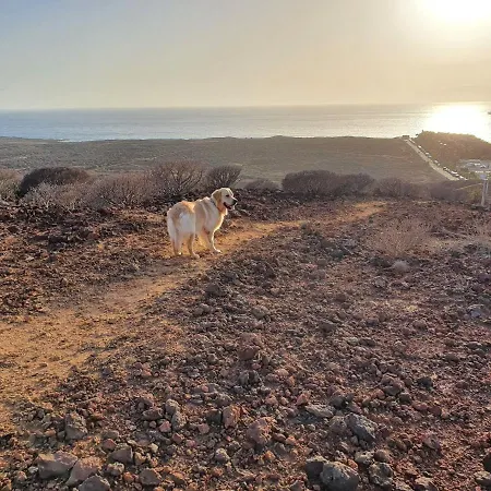 Appartement Maravilloso Y Tranquilo En El Palm-mar