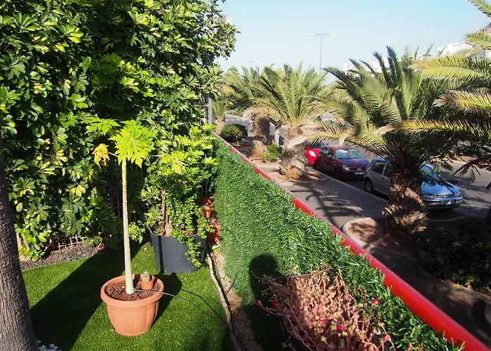 Maravilloso Y Tranquilo En El * Palm-mar