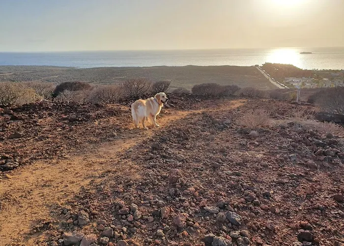 Appartamento Maravilloso Y Tranquilo En El Palm-mar